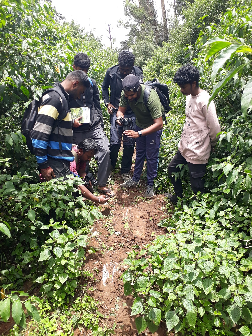 Field Trip: Shola Grass Lands, The Nilgiris